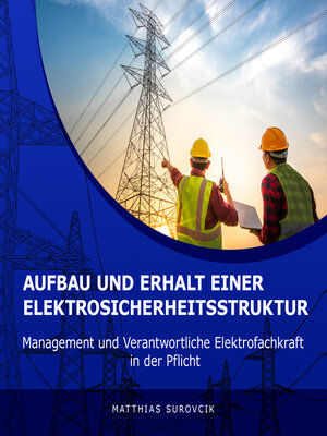 cover image of Aufbau und Erhalt einer Elektrosicherheitsstruktur